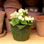 55152_vineyard_wicker_clay_pots_ls_web