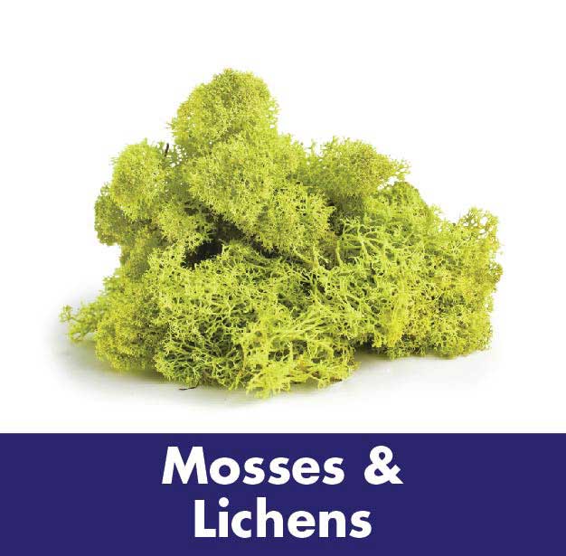 Super Moss 8 Oz Preserved Mood Moss 21539, 1 - Ralphs