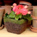 deco_basket_ventura_20