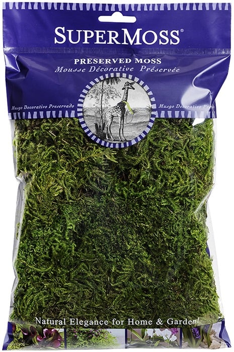 Forest Moss Preserved