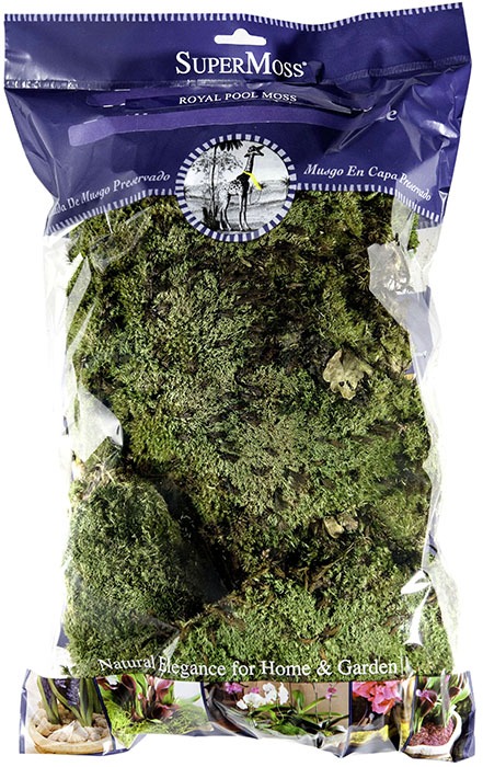 SuperMoss (21883) Royal Pool Moss Preserved Fresh Green 8oz