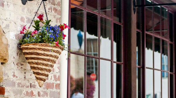 Window Garden Blooms