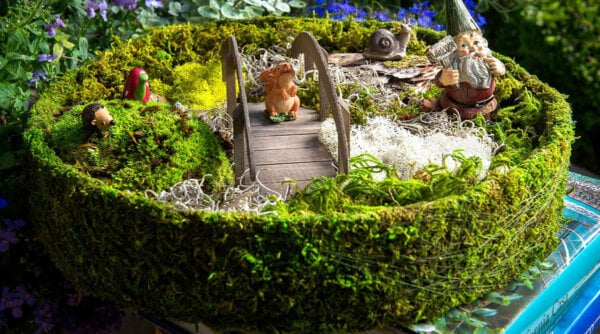 Moss Critter Tray