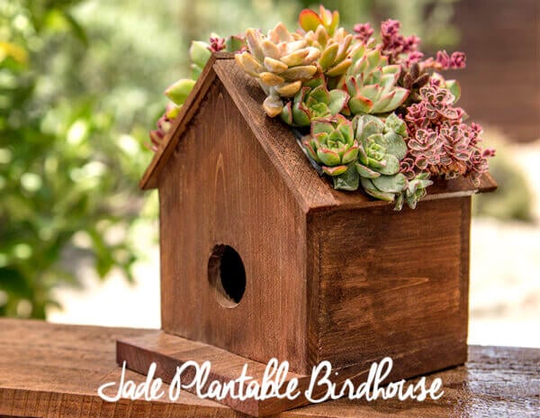 Jade Plantable Birdhouse