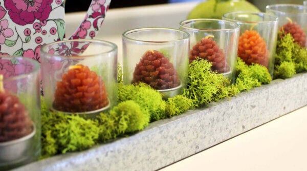 Chartreuse Acorn Glass