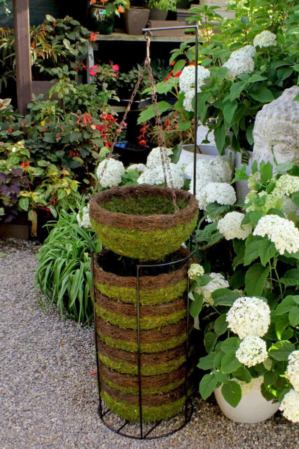 Garden Basket Display