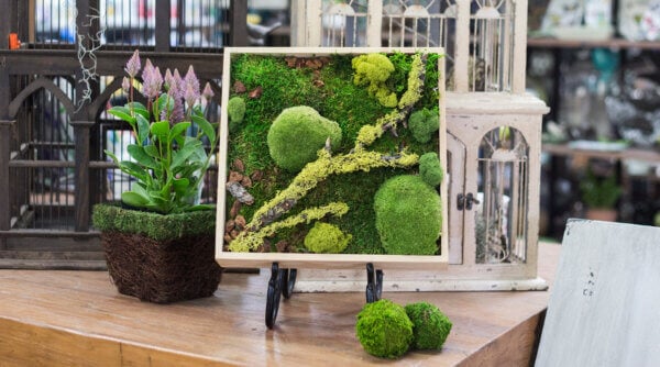 Mini Moss Wall Art