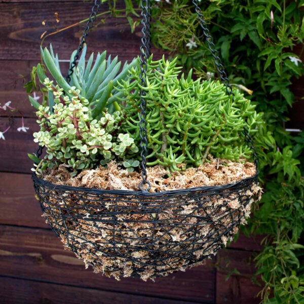Moss-Lined Metal Basket