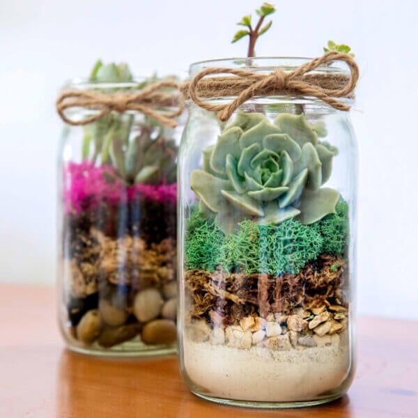 Mini Terrarium Jars