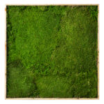 20253_Sheet-Moss-Frame_Fresh-Green_24x24in