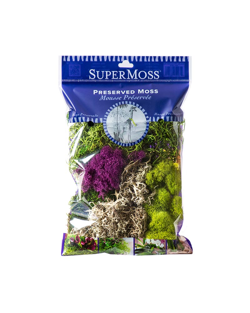 Best Sellers Moss Mix