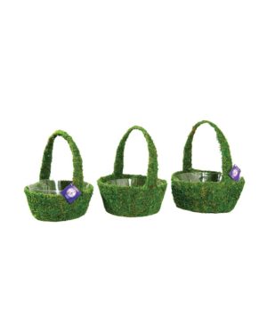 SuperMoss - Fairy Garden Basket Kit, Fresh Green, 10in