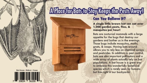 Beneficial Bat House Information