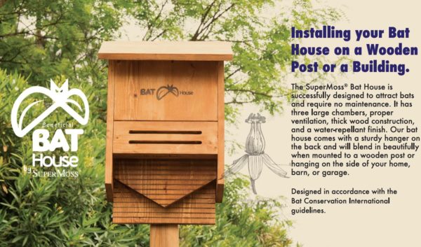 Beneficial Bat House Information