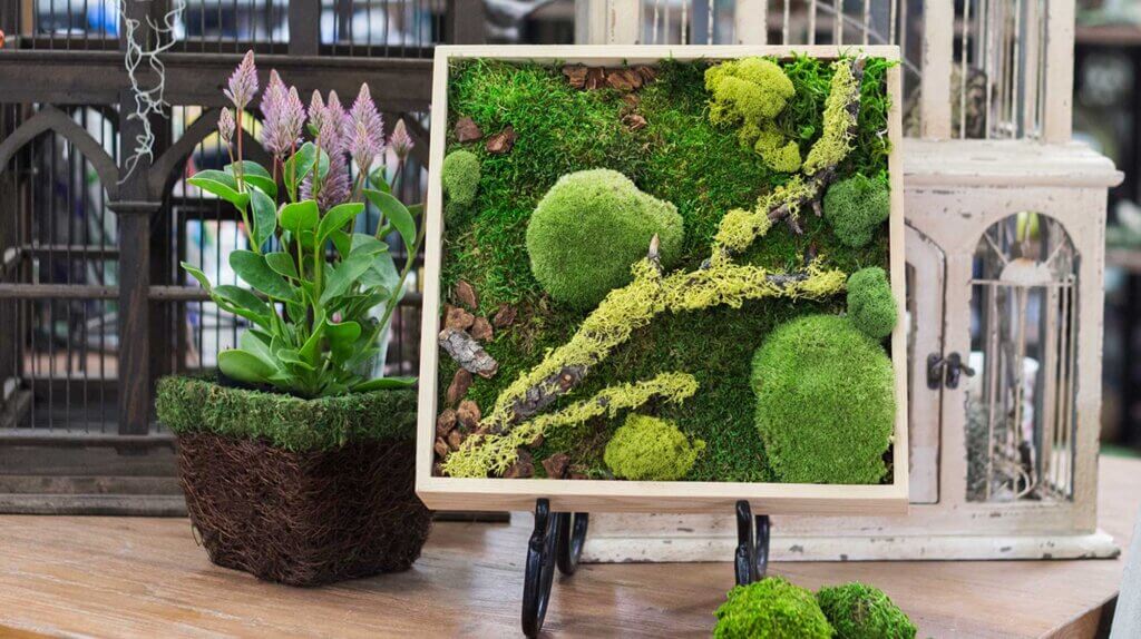 Branched Wolfen Lichen #1