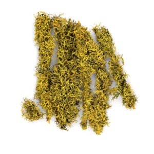 SuperMoss (22303) Orchid Sphagnum Moss Dried, Natural, 32oz