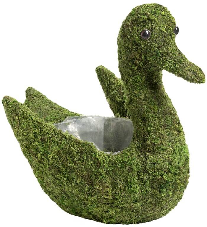 小物 WILD SWANS GROUNDER WILD SWANS GROUNDER