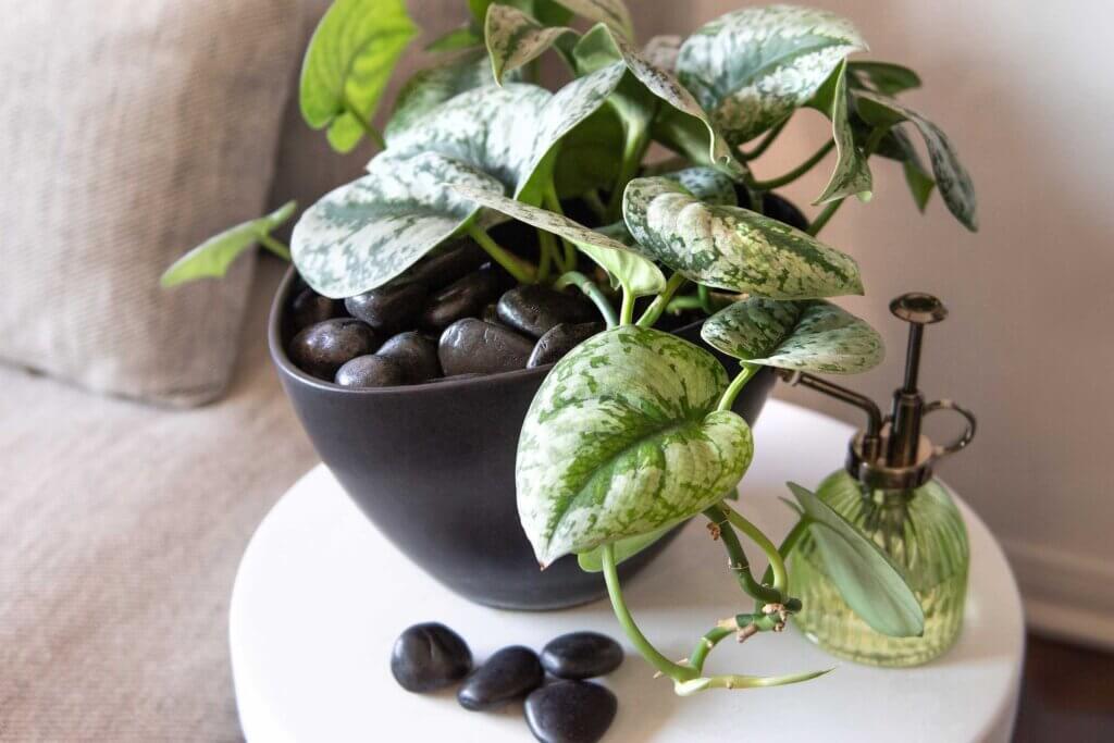 Decorative Stones #9