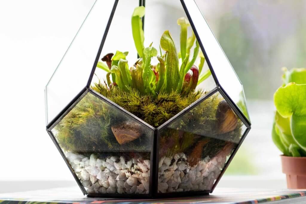 Decorative Stones #5