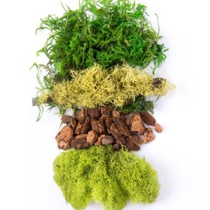 Super Moss 21539 8 oz Preserved Mood Moss