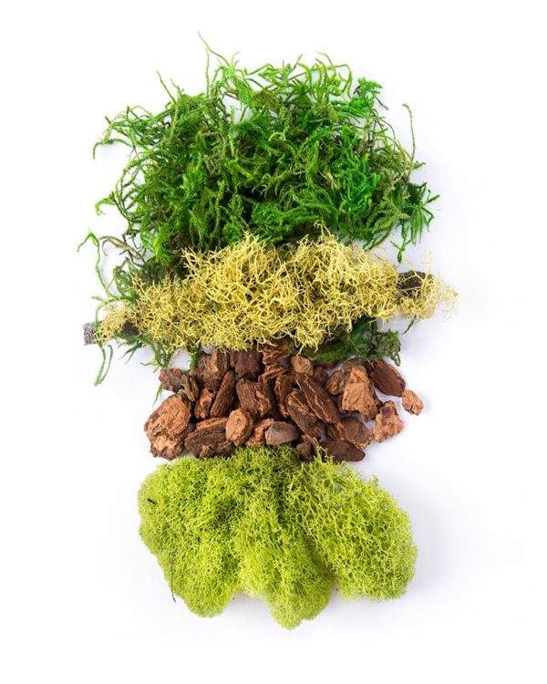 SuperMoss Fairy Moss Mix