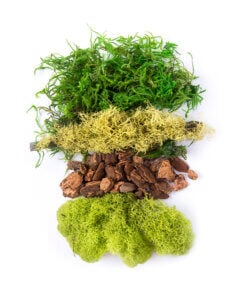 Fairy Garden Moss Mix