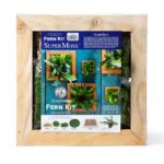 Fern-Kit_12x12in_90472_front