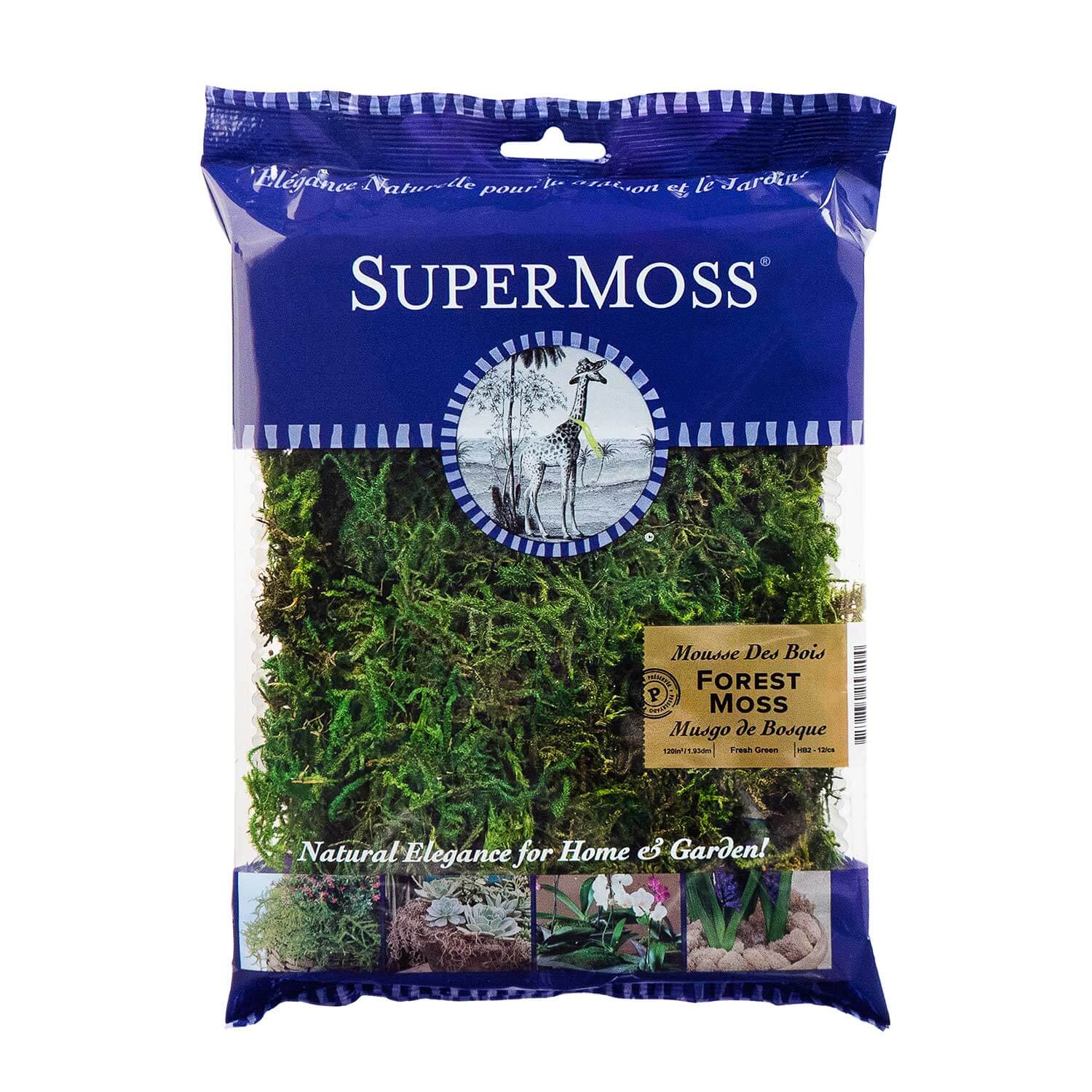 SuperMoss | Preserved Forest Moss