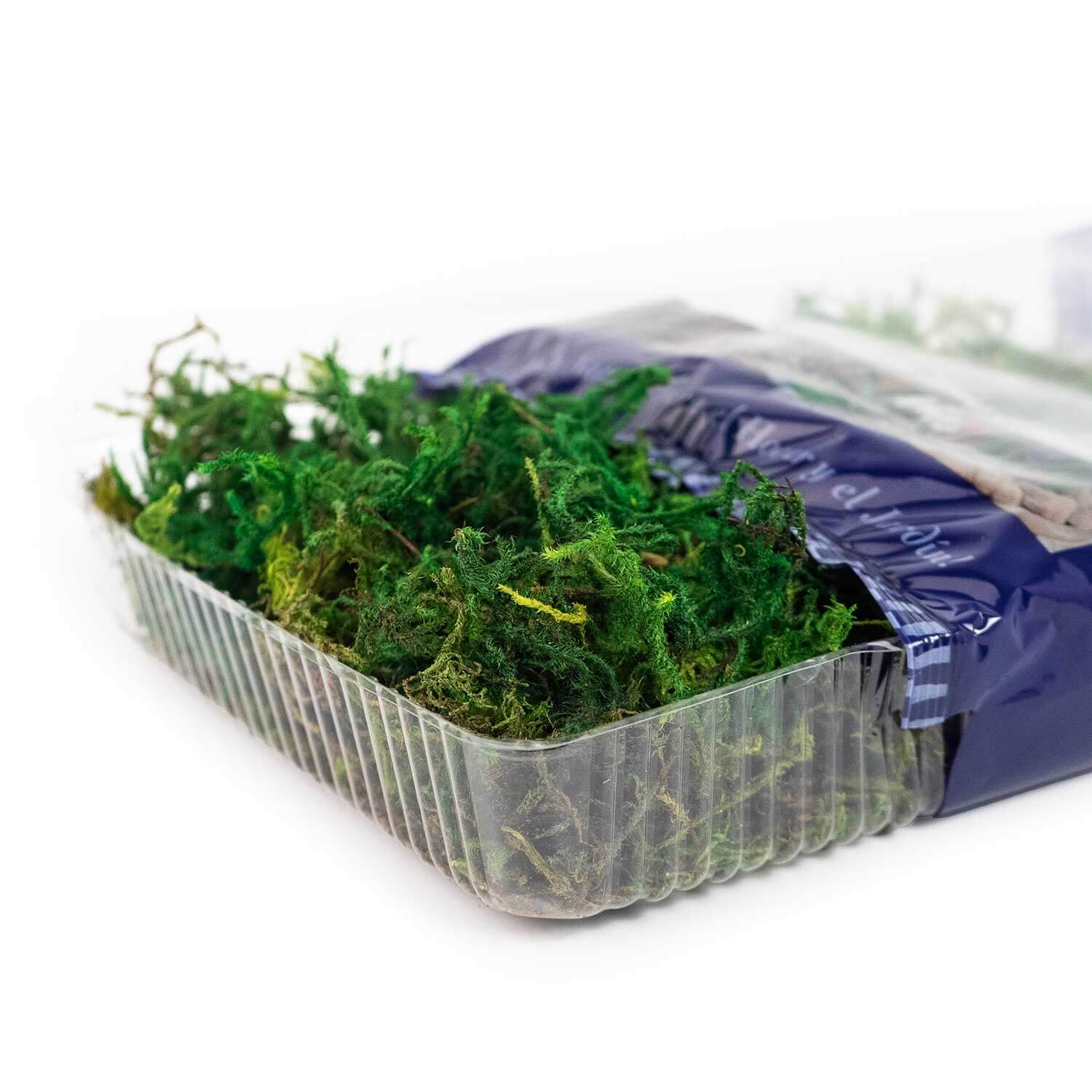 SuperMoss | Preserved Forest Moss