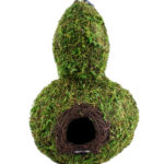 Gourd_Woven_Birdhouse_Fresh_Green_7.5_x_12in_56011