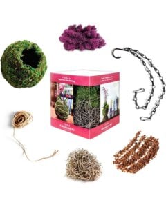 Orchid 6" Kokedama Kit