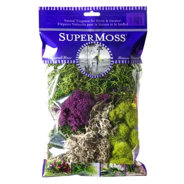 Best Sellers Moss Mix