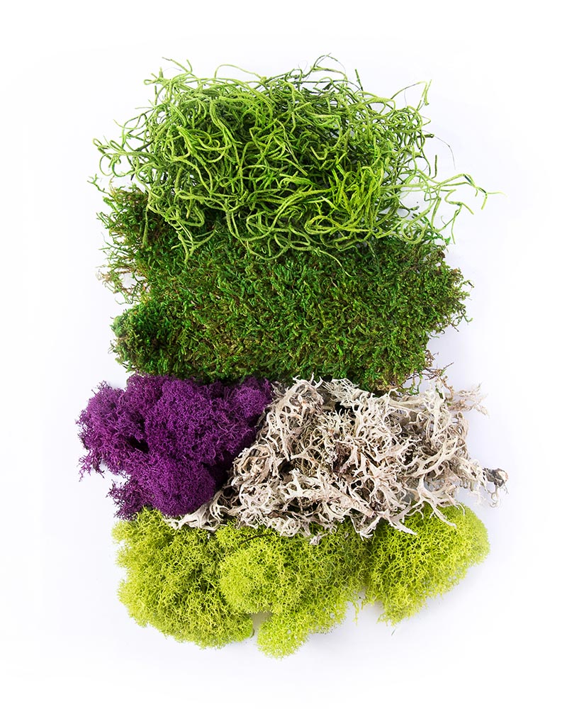 1 Bag Moss For Potted Plants Moss For Crafts Fake Moss Craft Moss Faux Moss