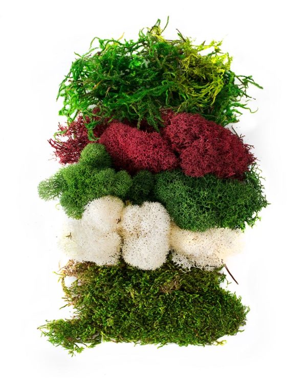 Peel-N-Stick Reindeer Moss Mat