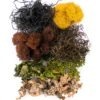Moss-Mix_Vermont_23302_Product-Photo_WEBSITE