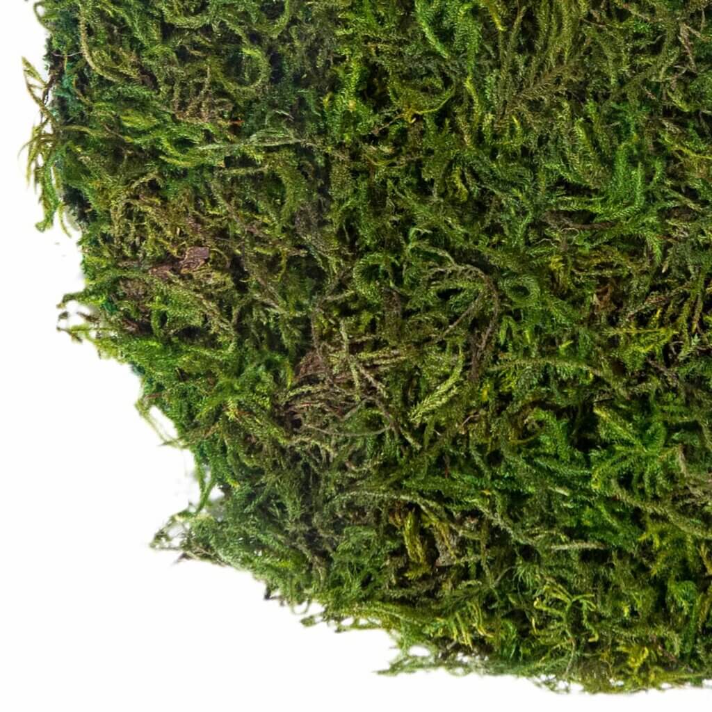 Mossy Placemat, 12" #4