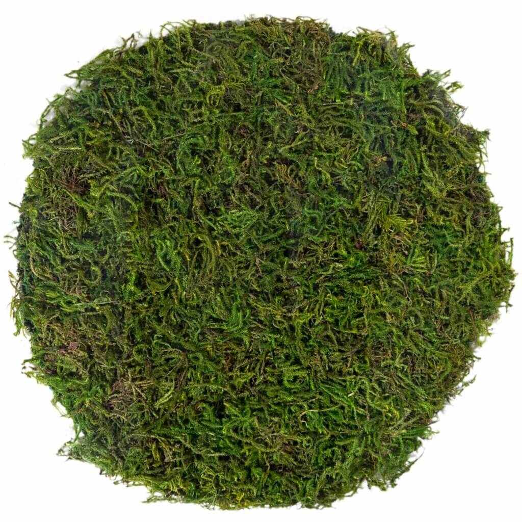 Mossy Placemat, 12" #2