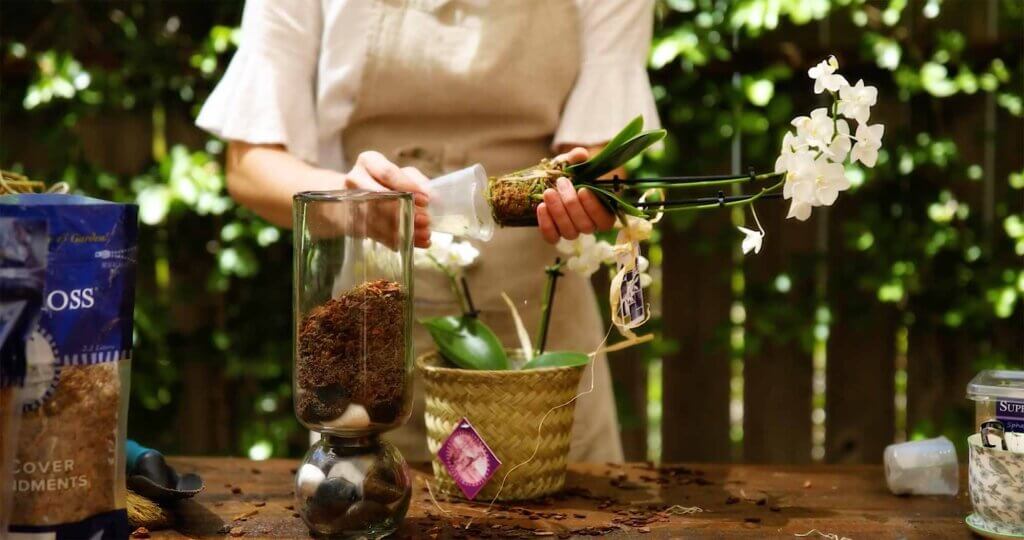 SuperMoss | Orchid Potting Mix, 4qt. Zip Bag