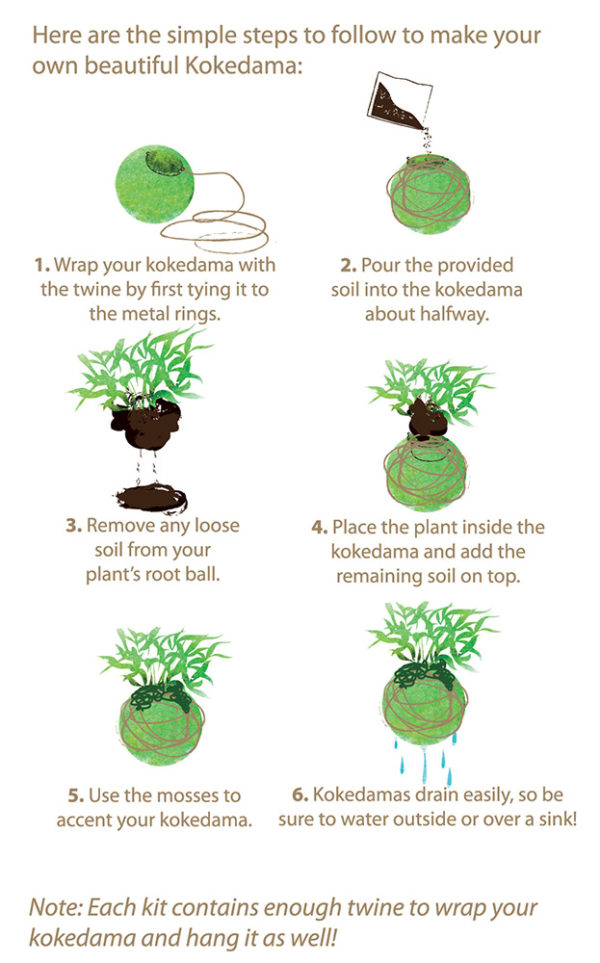 DIY Kokedama - Japanese Moss Ball Planters - Sand and Sisal