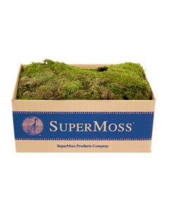 Sheet Moss Dried Natural Green Box