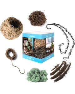 Succulent 6" Kokedama Kit