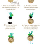 Succulents-Kokedama_Steps