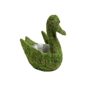 Deco Moss Swan