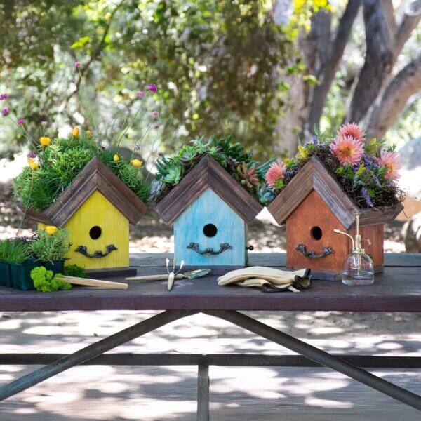Amber Plantable Birdhouse, 3 Piece Set