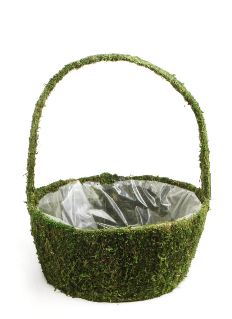 Arroyo Deco Moss Basket #2