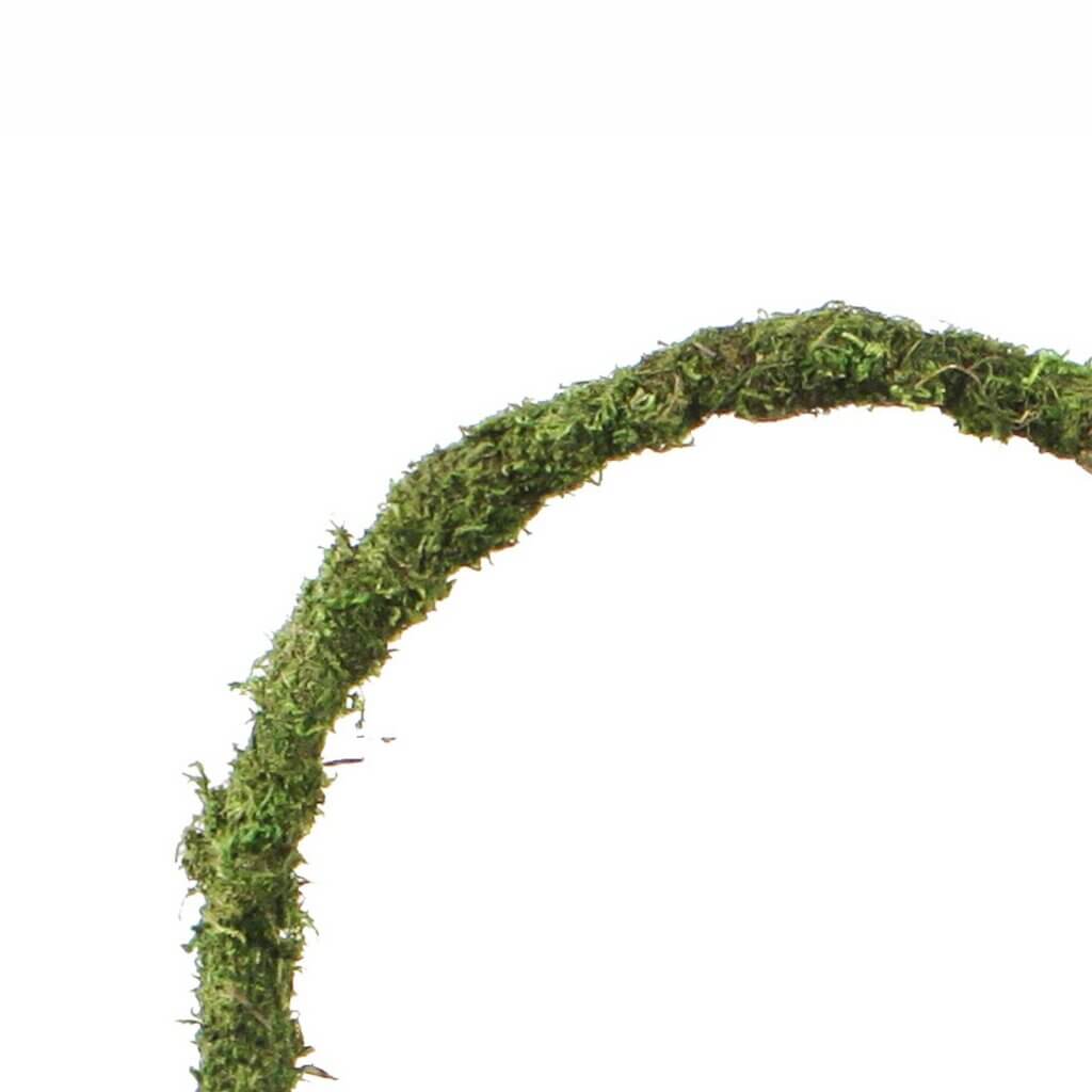 Arroyo Deco Moss Basket #3