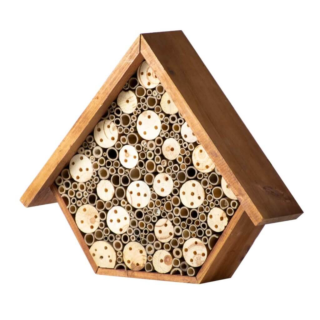 Beneficial Bug House, Aster, Walnut Stain #3