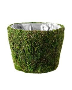 Carmel Deco Moss Basket