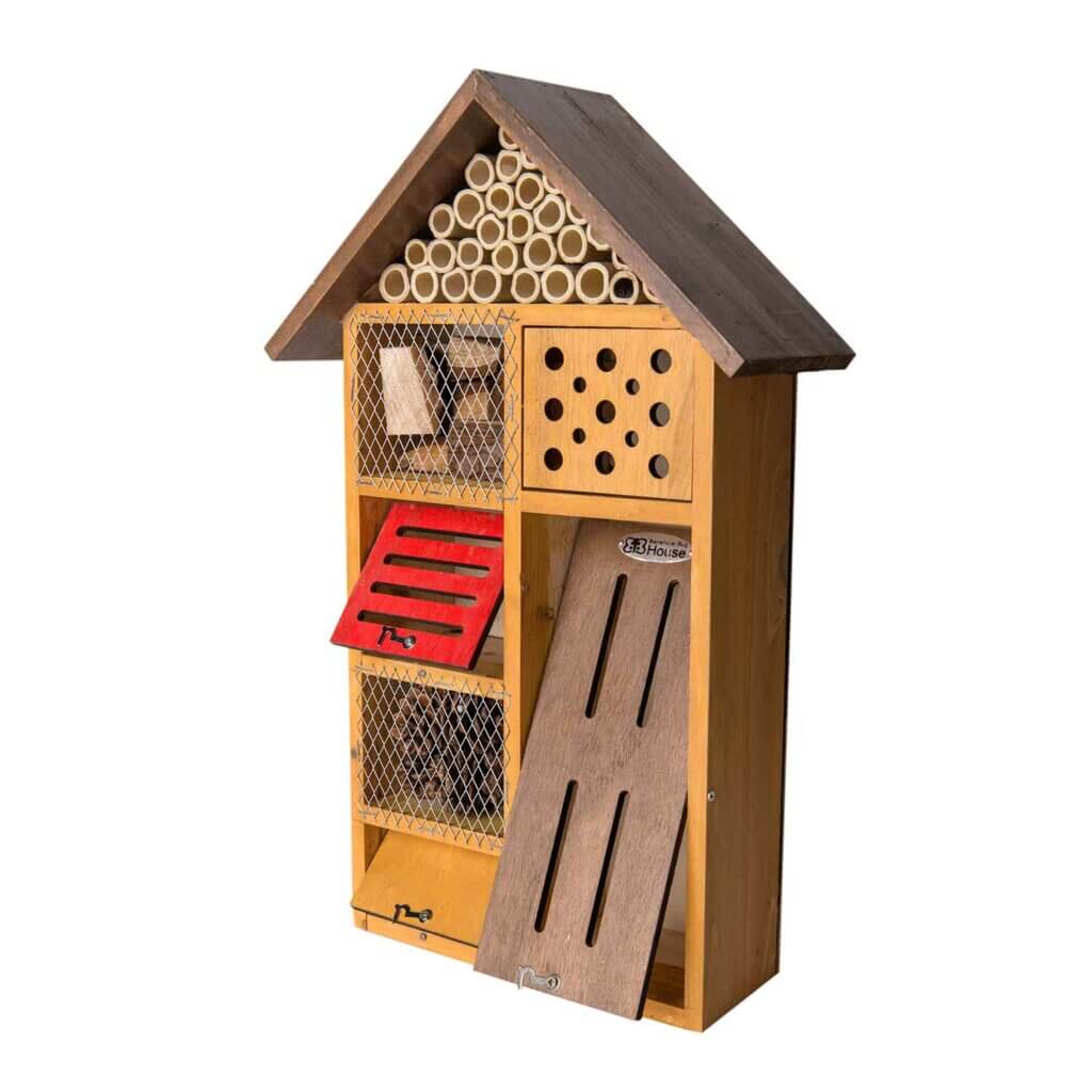 Beneficial Bug House, Clover, Honey Stain #2