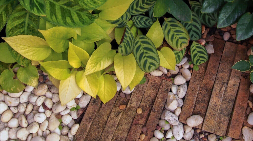 Decorative Stones #10